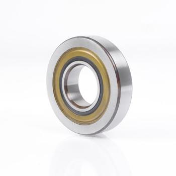 LR5203 NPPU ZEN - Track Rollers - IØ 17 mm - OØ 47 mm - Width 17,5 mm | 10127122 | LR5203NPPU | ZENLR5203 | LR5203ZEN