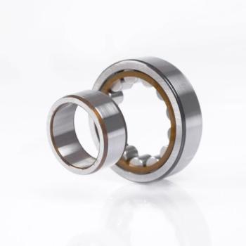 NU1008 M1C3 FAG - Zylinderrollenlager - IØ 40 mm - AØ 68 mm - Breite  15 mm | 10003724 | NU1008M1C3 | FAGNU1008 | NU1008FAG | EAN 4012801588874