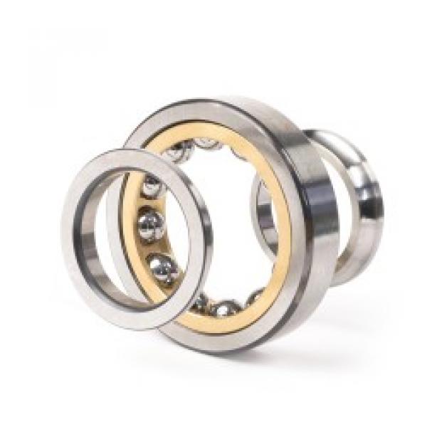 QJ252 N2MPA FAG - Four-Point Contact Bearings - IØ 260 mm - OØ 480 mm - Width 80 mm | 10131770 | QJ252N2MPA | FAGQJ252 | QJ252FAG | EAN 4026677023308