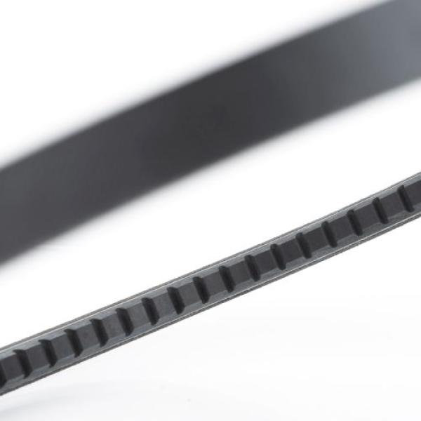 AX31.5 SWR - Raw Edge V-Belts | 10112399 | AX315 | SWRAX31.5 | AX31.5SWR