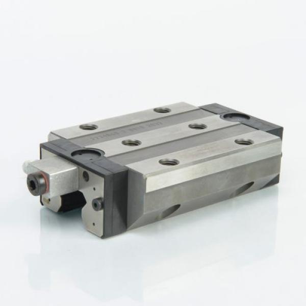 RWU65 ELG3V3 INA - Guide Carriages | 10102241 | RWU65ELG3V3 | INARWU65 | RWU65INA | EAN 4054364005559