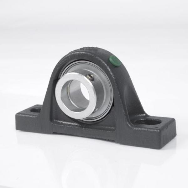 PASE60 N INA - Stehlager-Gehäuseeinheiten - IØ 60 mm | 10068555 | PASE60N | INAPASE60 | PASE60INA | EAN 4012802838121